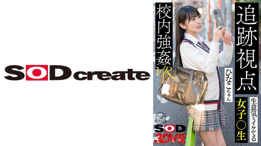 DSVR-1273 [VR] [มุมมองการติดตาม] เด็กนักเรียนสุดเท่ฮินาโกะจังที่เล่นในโรงเรียน VR