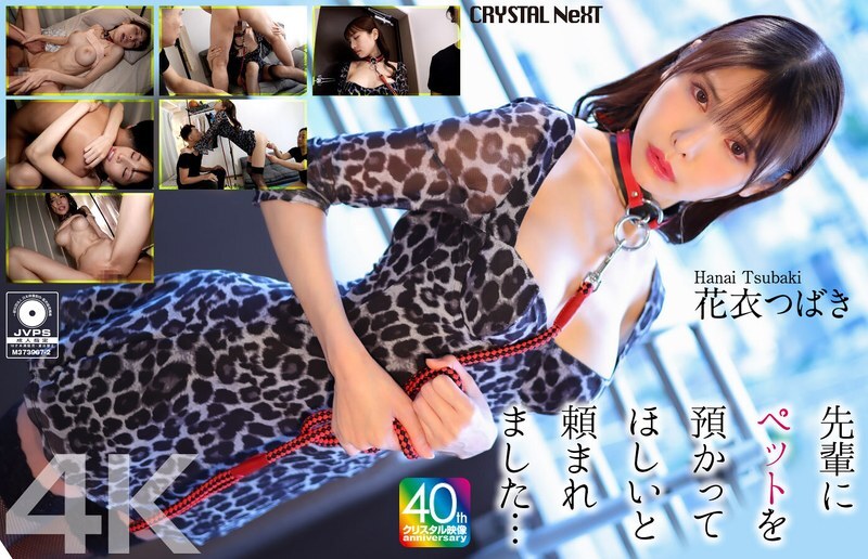 CRNX-254 [4K] รุ่นพี่ขอให้ฉันดูแลสัตว์เลี้ยงของเขา… Hanagoromo Tsubaki